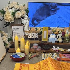 宠物家长客户见证