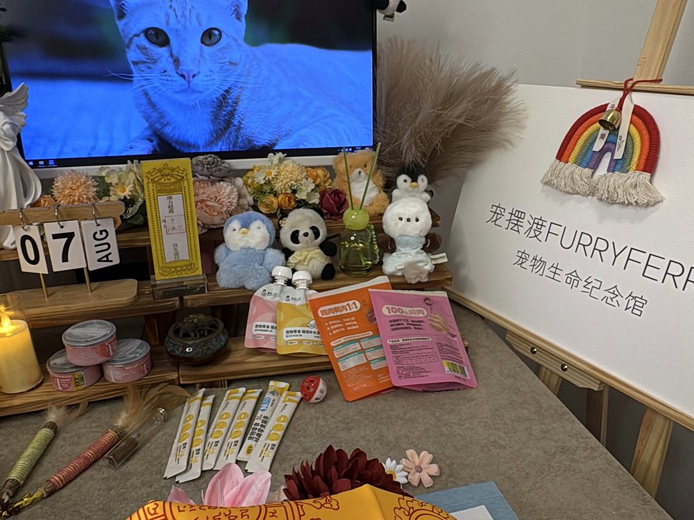 宠物告别仪式现场布置
