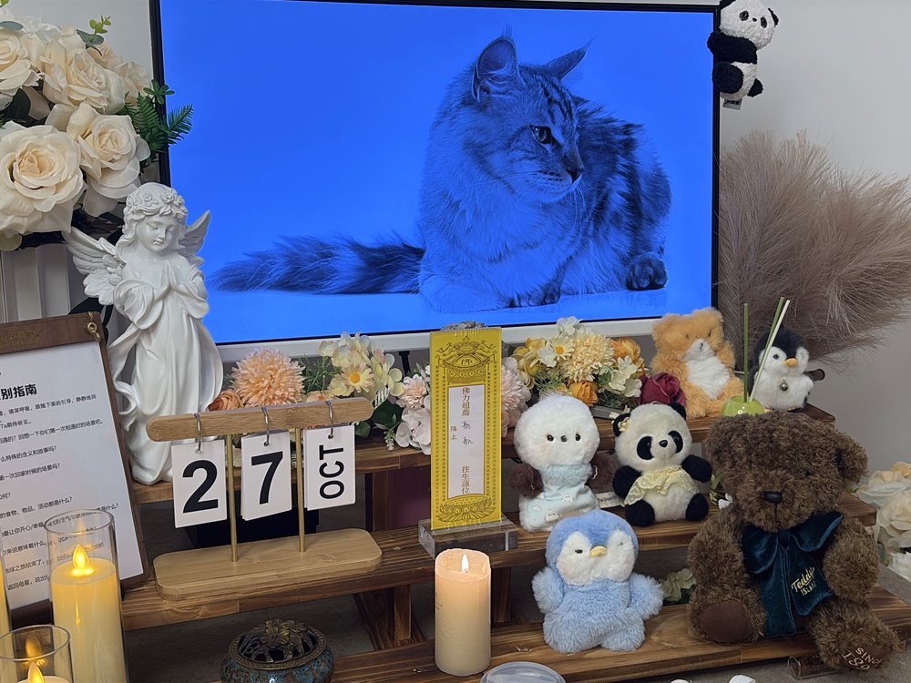 大连宠物殡葬单独火化告别区